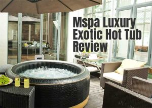 Mspa Luxury Exotic Hot Tub Review